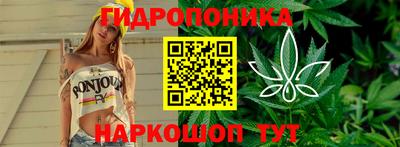 стаф Коммунар