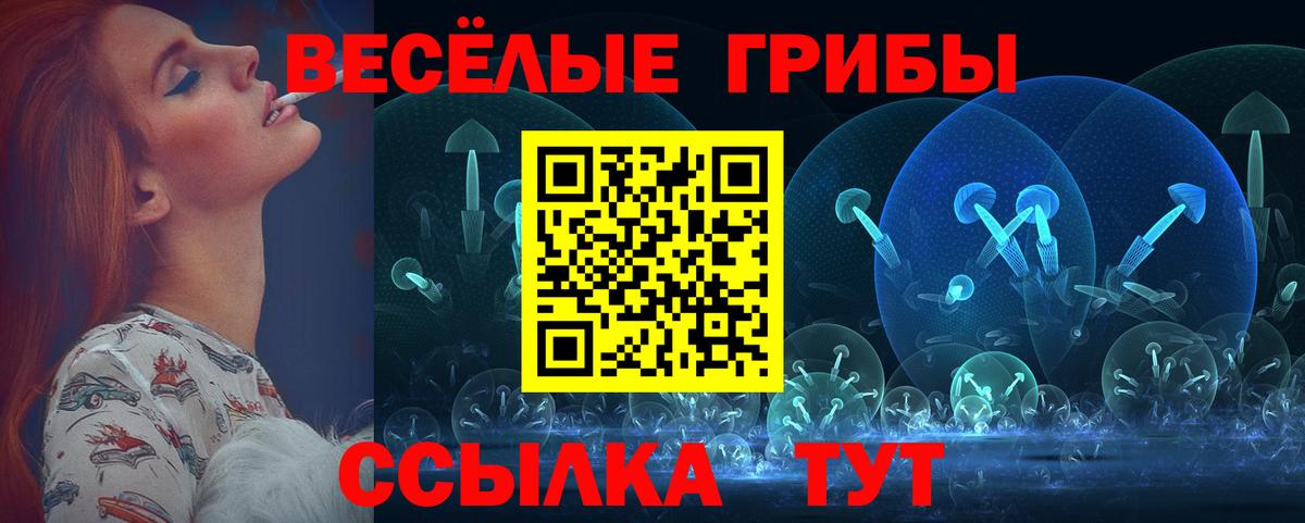 Галлюциногенные грибы прущие грибы  Вход с VPN  Черняховск 